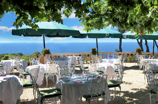 Terrasse Pins Penchés