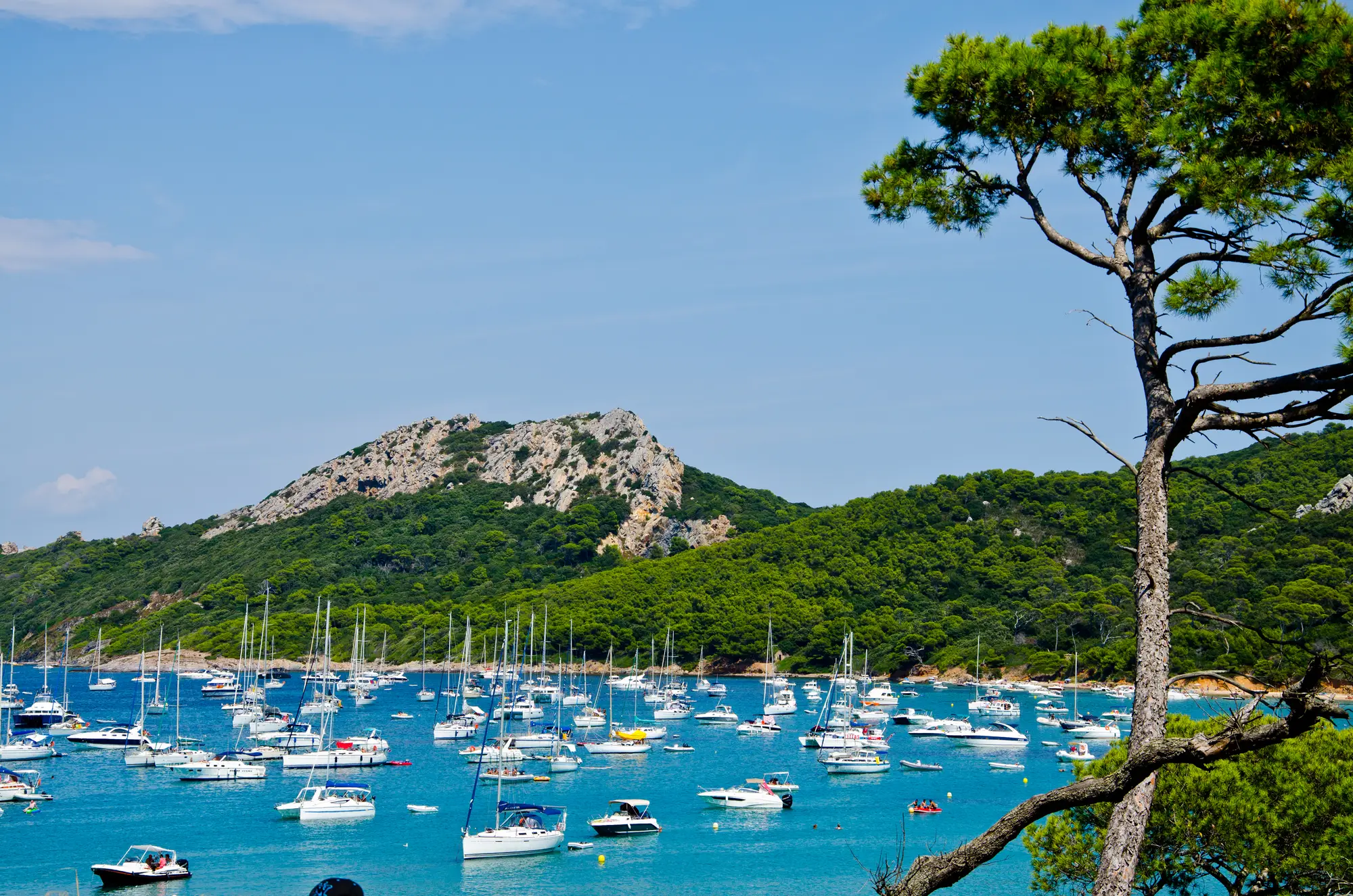 Comment s’installer à Porquerolles ?