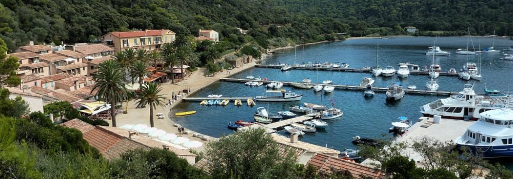 rendre-sur-ile-port-cros